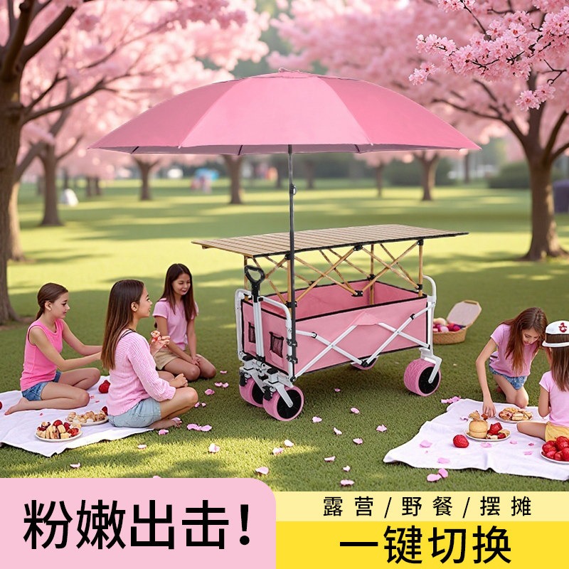 Carrello Pieghevole Rosa per C - Car Accessories You Must Have recensione e prezzo