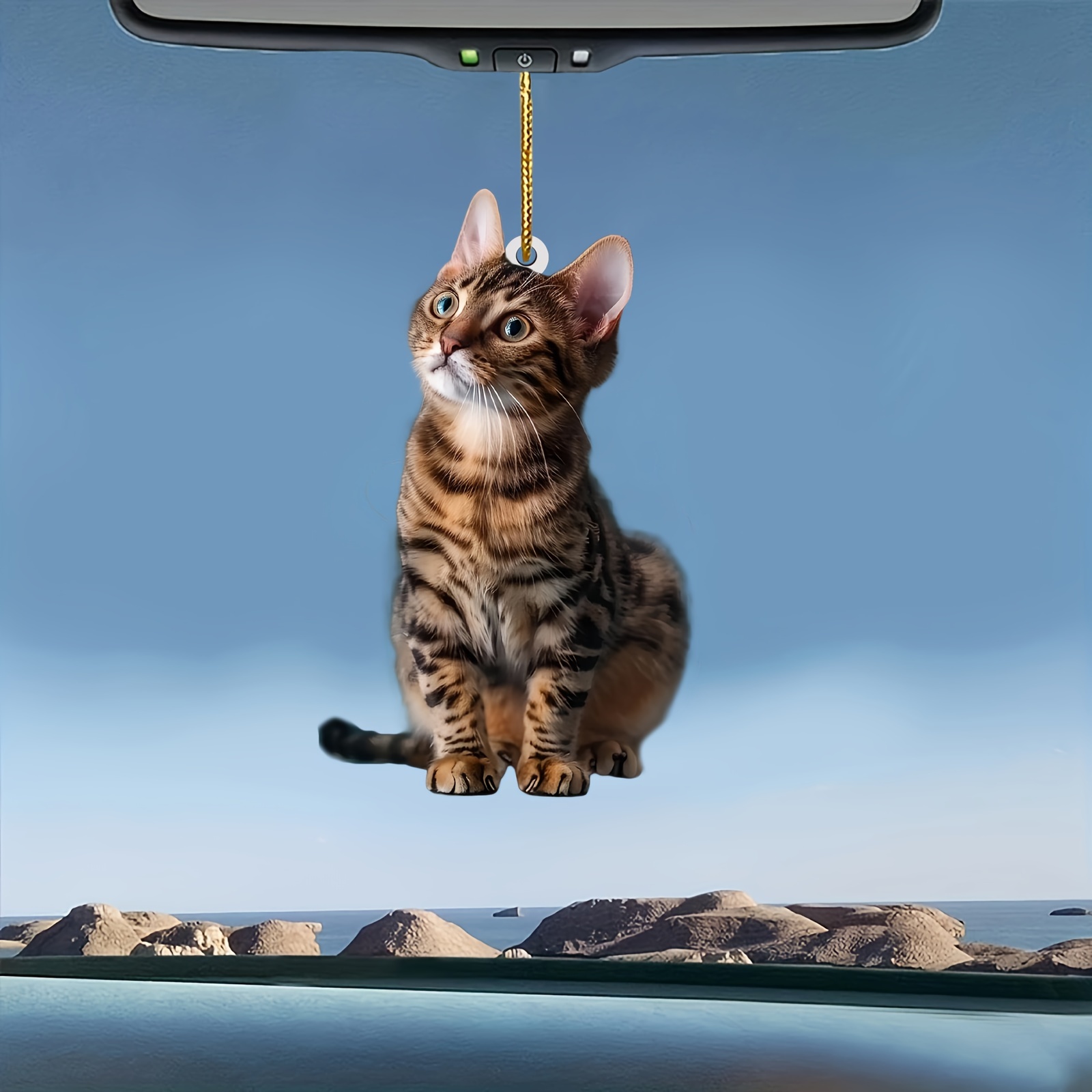 3 pezzi 2D piatto gatto ciondo - Car Accessories Xmas recensione e prezzo