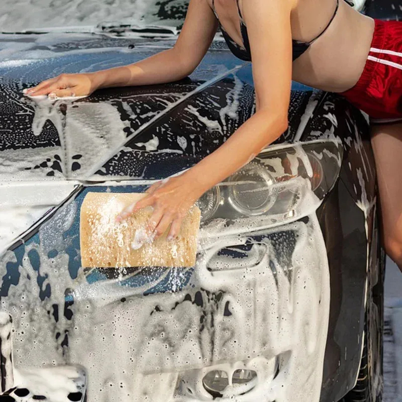 Spugna per Lavaggio Auto Grand - Car Detailing Brush recensione e prezzo